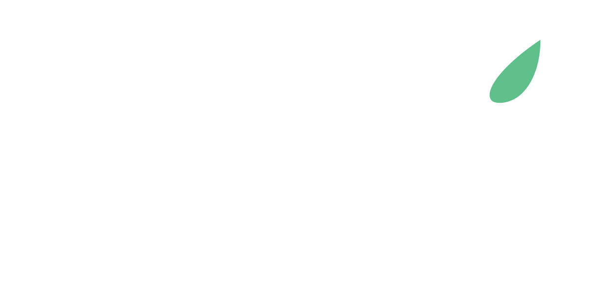 City Parks Foundation