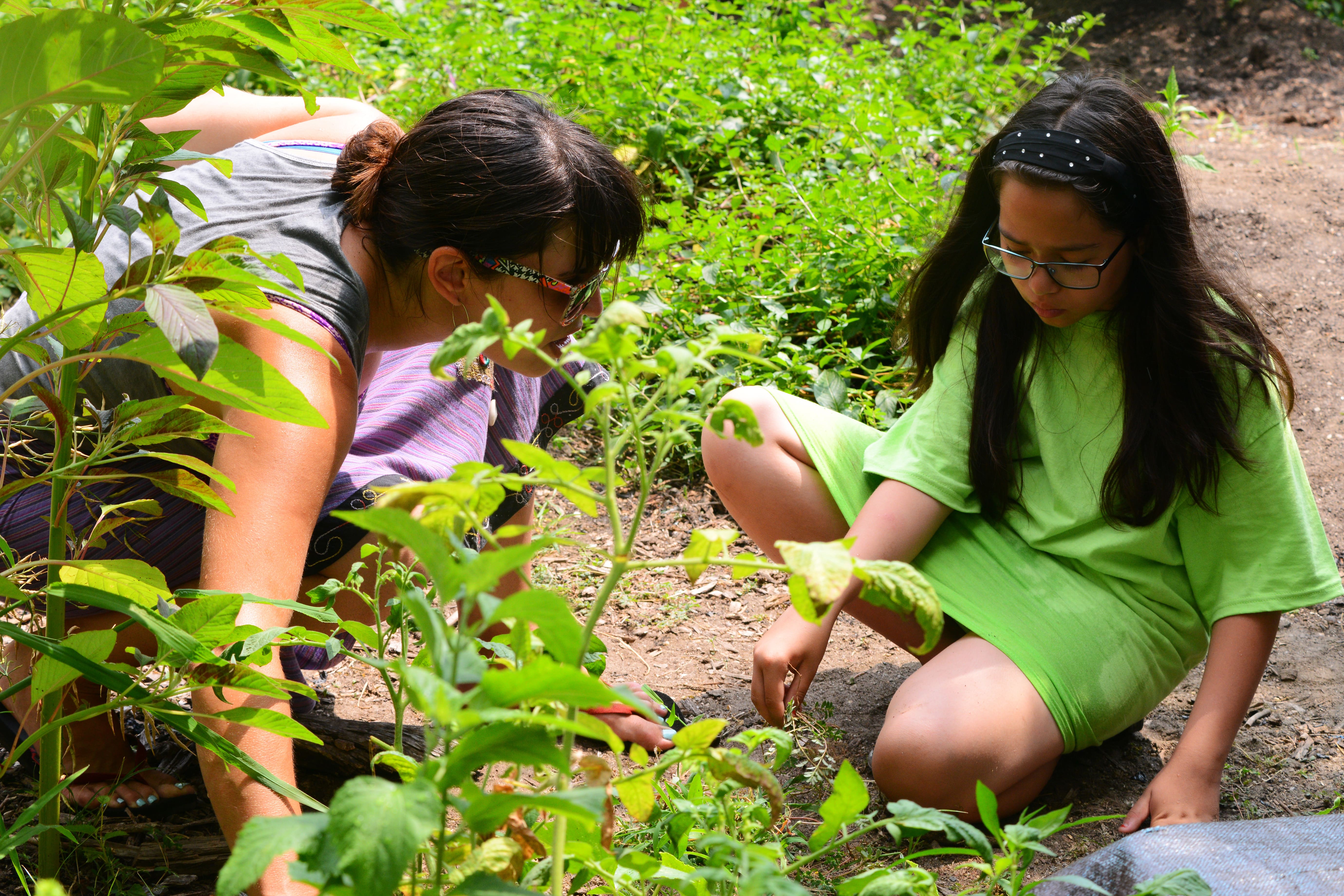 A photo of two Green Girls students studying plants at a City Parks Foundation Learning Garden at Umoja Gardens in New York City