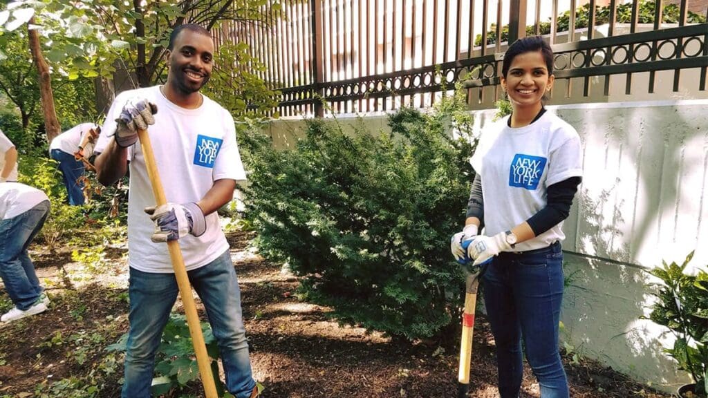 Corporate volunteers working in a New York City park