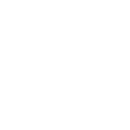 White Facebook Icon