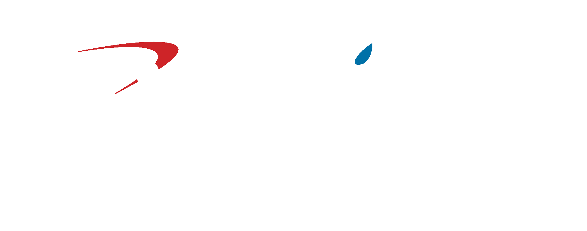Capital One City Parks Foundation SummerStage logo