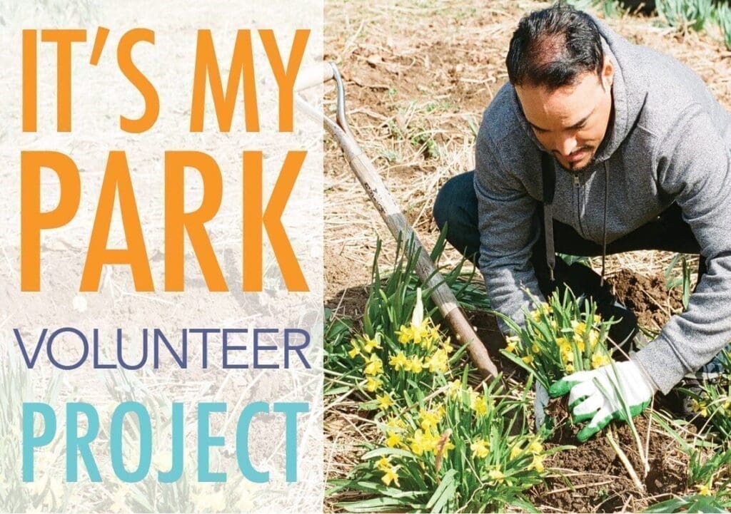 Partnership for Parks Volunteer - City Parks Foundation