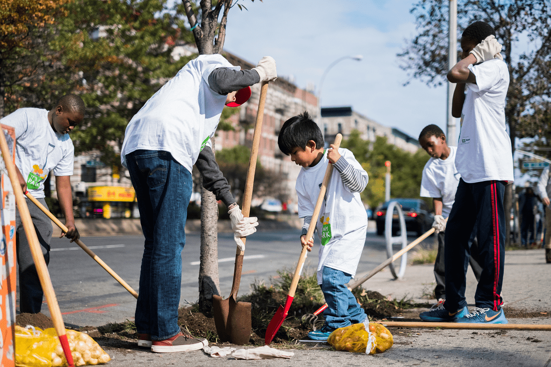 a group of people digging a hole in the ground