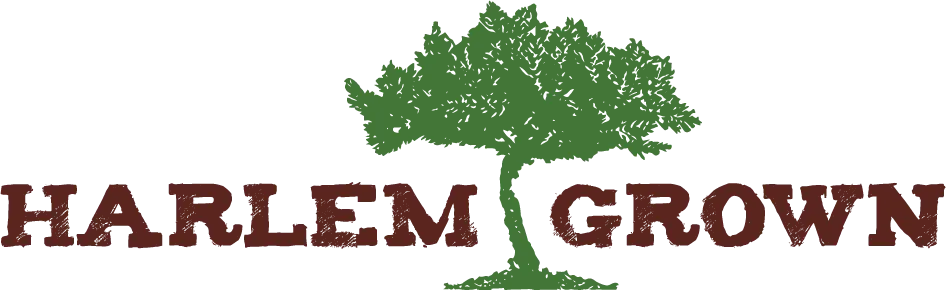 Sponsor Image