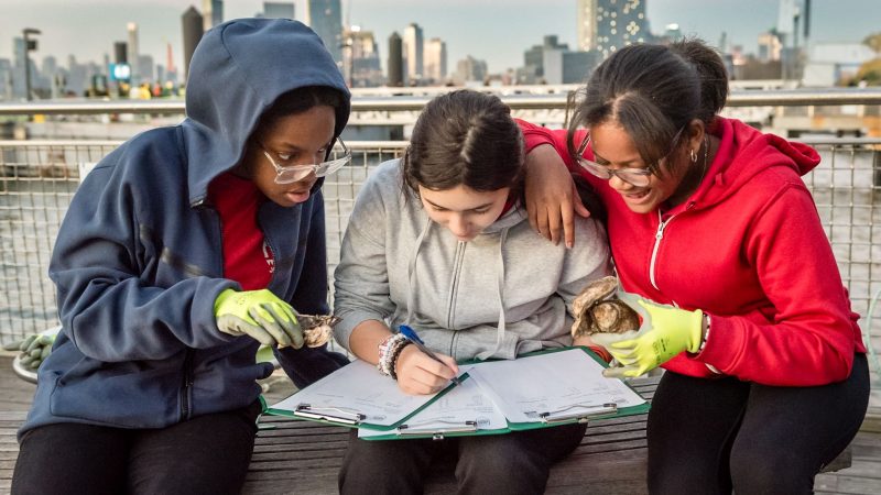 Three young girls are sitting on a park bench reading papers on clipboards. The city skyline is visible in the background.