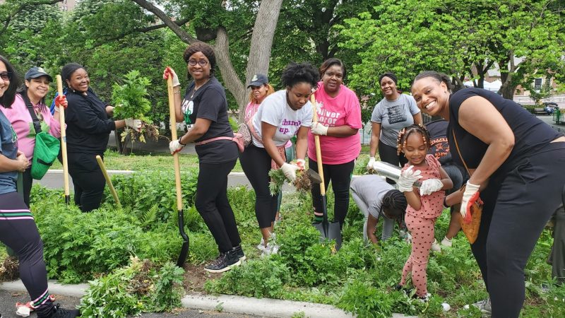 a group of people gardening