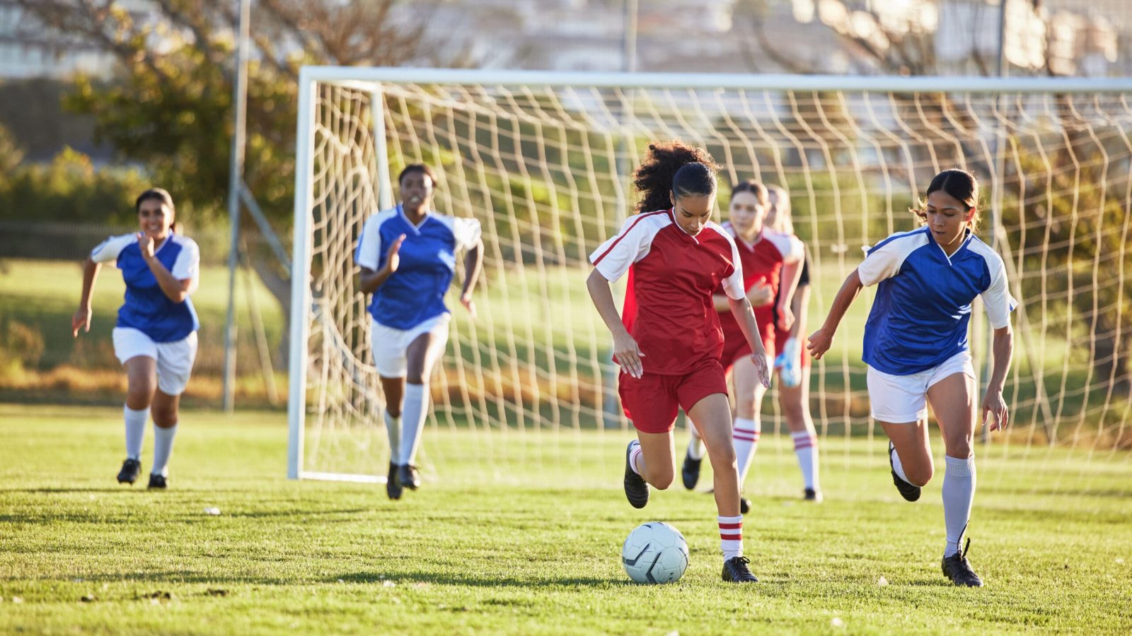 AdobeStock_580058589-scaled