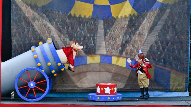 A photo from a performance of Bessie's Big Shot by the traveling PuppetMobile. It features the titular Bessie, a cow, being shot out a circus cannon with a ringmaster watching.