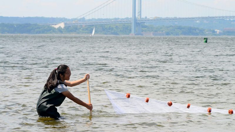 A young girl is standing in the water holding a fishing net