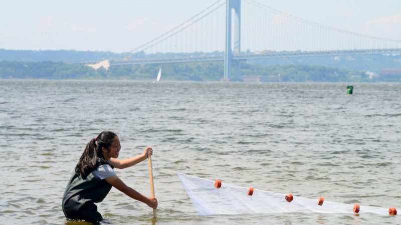 CityParks Learn: Coastal Classroom