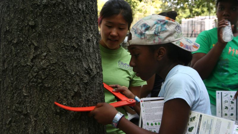 CityParks Learn: Green Girls