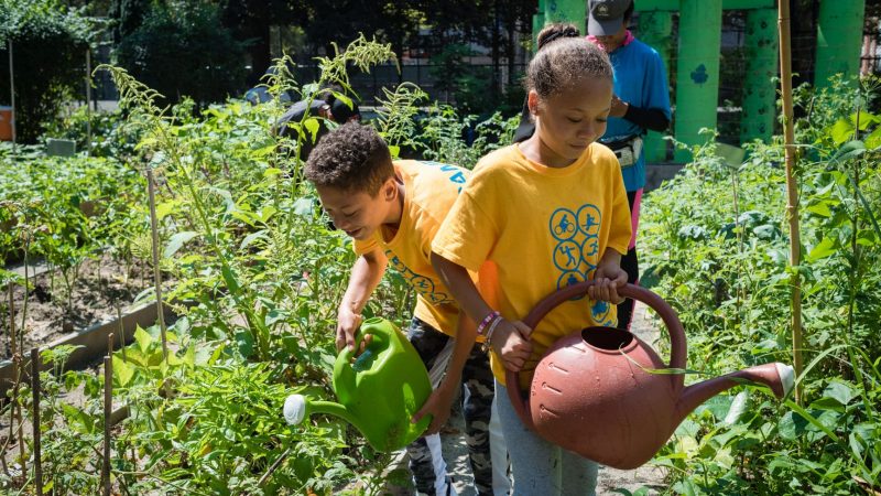 CityParks Learn: Learning Gardens
