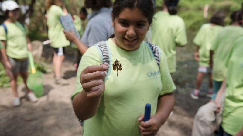 City Parks Learn: Green Girls