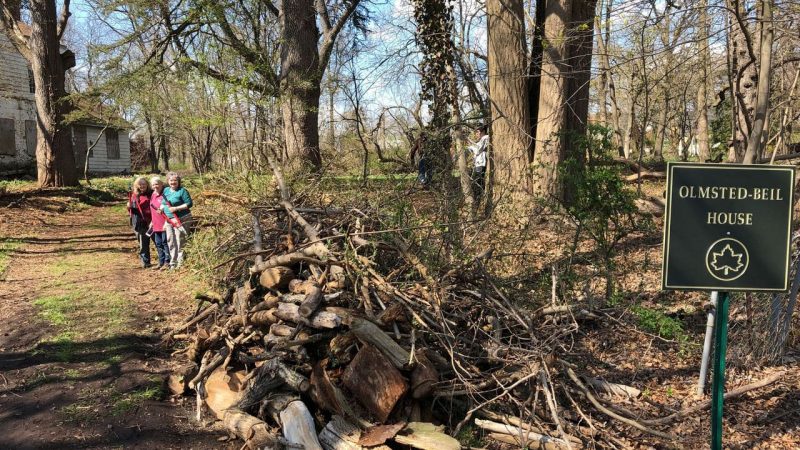 Partnership for Parks