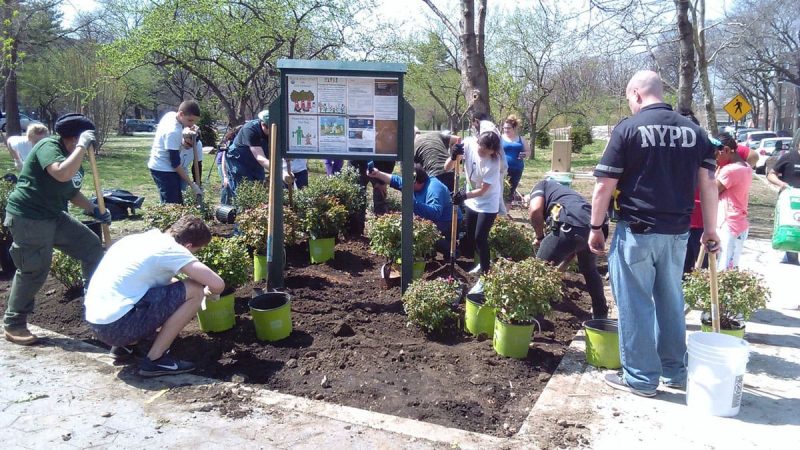 Partnership for Parks