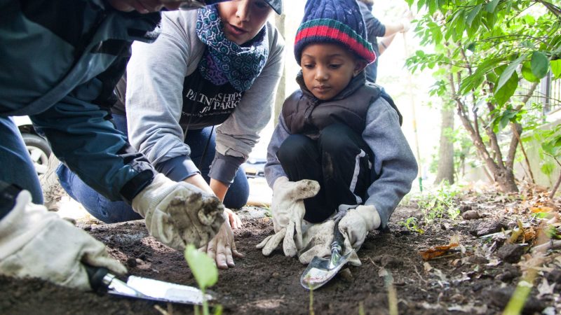 Partnership for Parks
