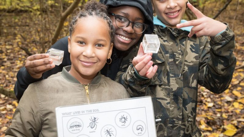 CityParks Learn: Seeds to Trees