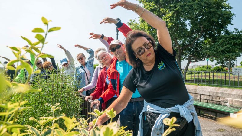 CityParks Play: Senior Fitness