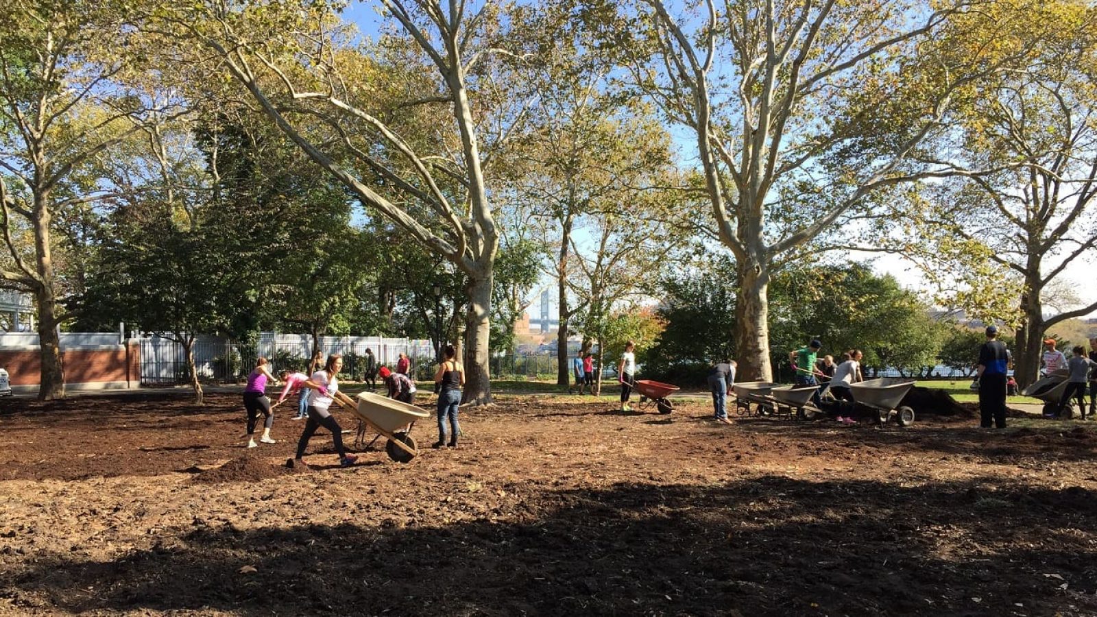 ItsMyPark2