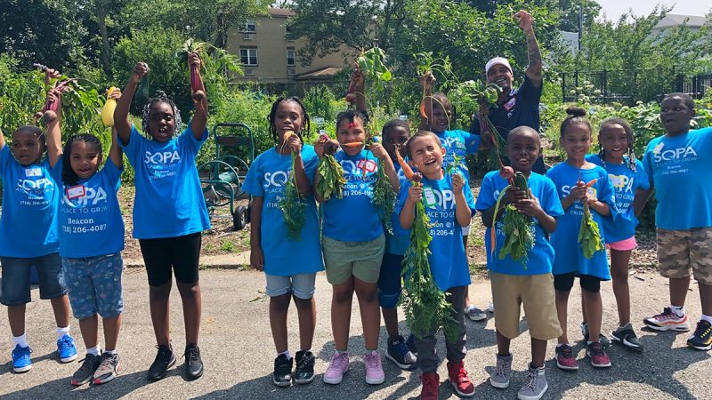 A group of young children wearing blue tshirts are standing together in a garden on a sunny day. Some of the children are holding vegetables from the garden in their hands.