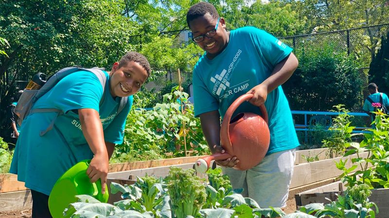 Two teenage boys are standing in an urban garden watering plants and smiling at the camera.