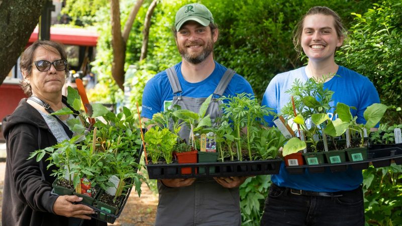 Stewarding Green Space in Underserved Neighborhoods-04